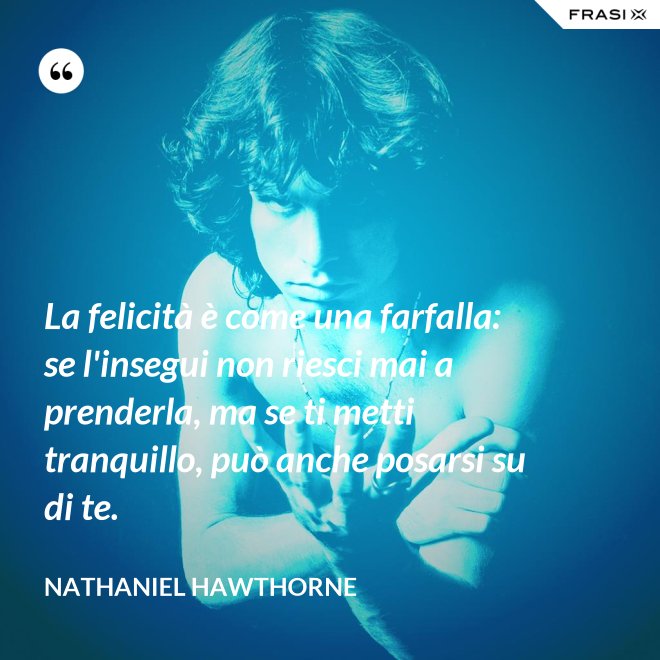 La felicità è come una farfalla: se l'insegui non riesci mai a prenderla, ma se ti metti tranquillo, può anche posarsi su di te. - Nathaniel Hawthorne