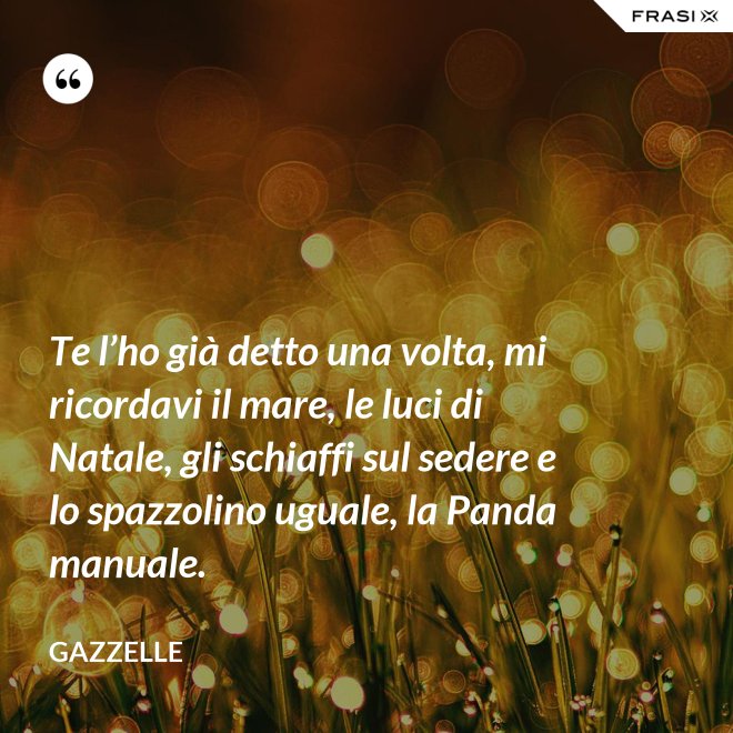 Te l’ho già detto una volta, mi ricordavi il mare, le luci di Natale, gli schiaffi sul sedere e lo spazzolino uguale, la Panda manuale. - Gazzelle