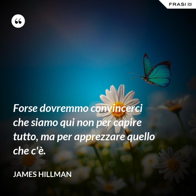 Forse dovremmo convincerci che siamo qui non per capire tutto, ma per apprezzare quello che c'è. - James Hillman