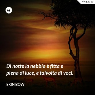 Di notte la nebbia è fitta e piena di luce, e talvolta di voci. - Erin Bow