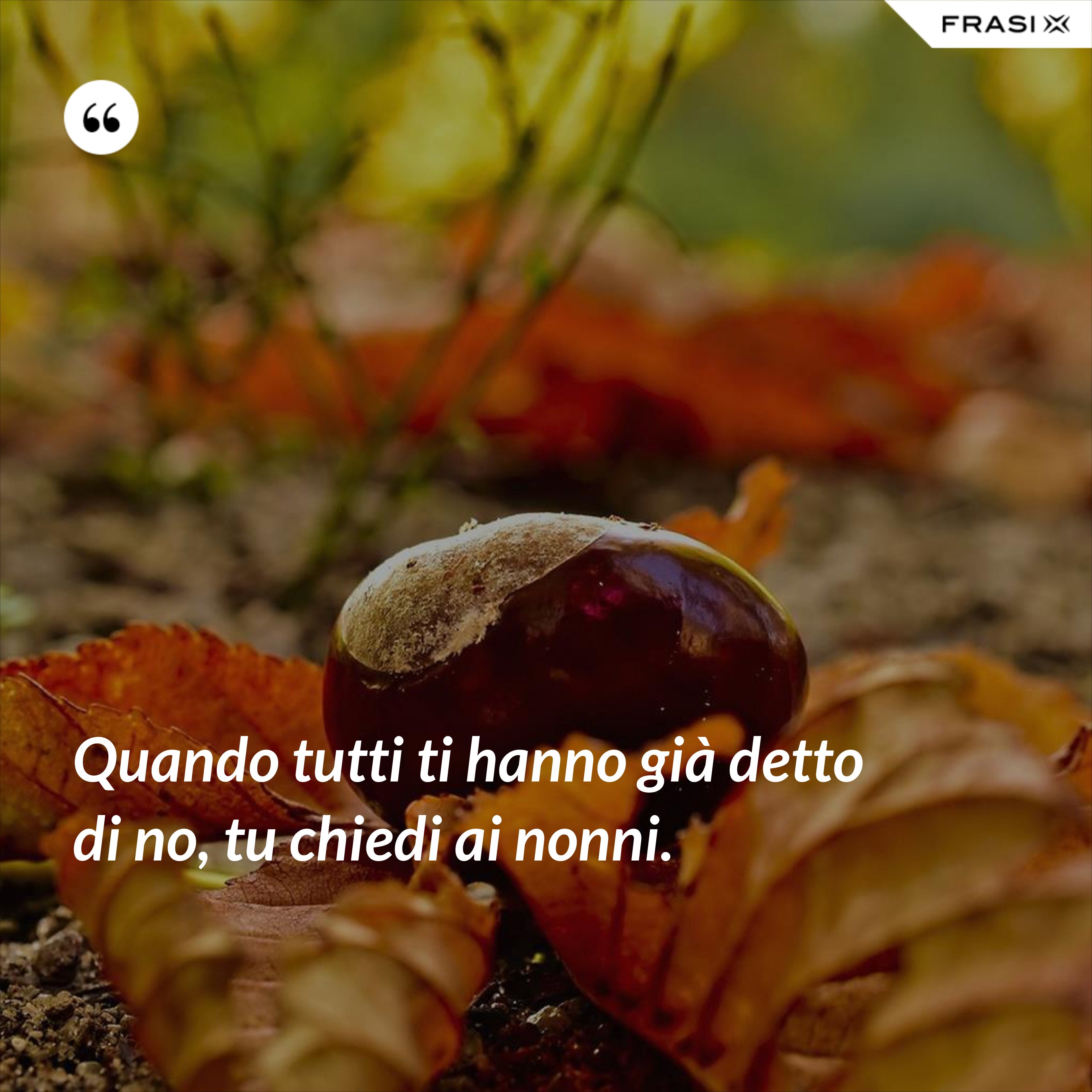Quando tutti ti hanno già detto di no, tu chiedi ai nonni. - Anonimo