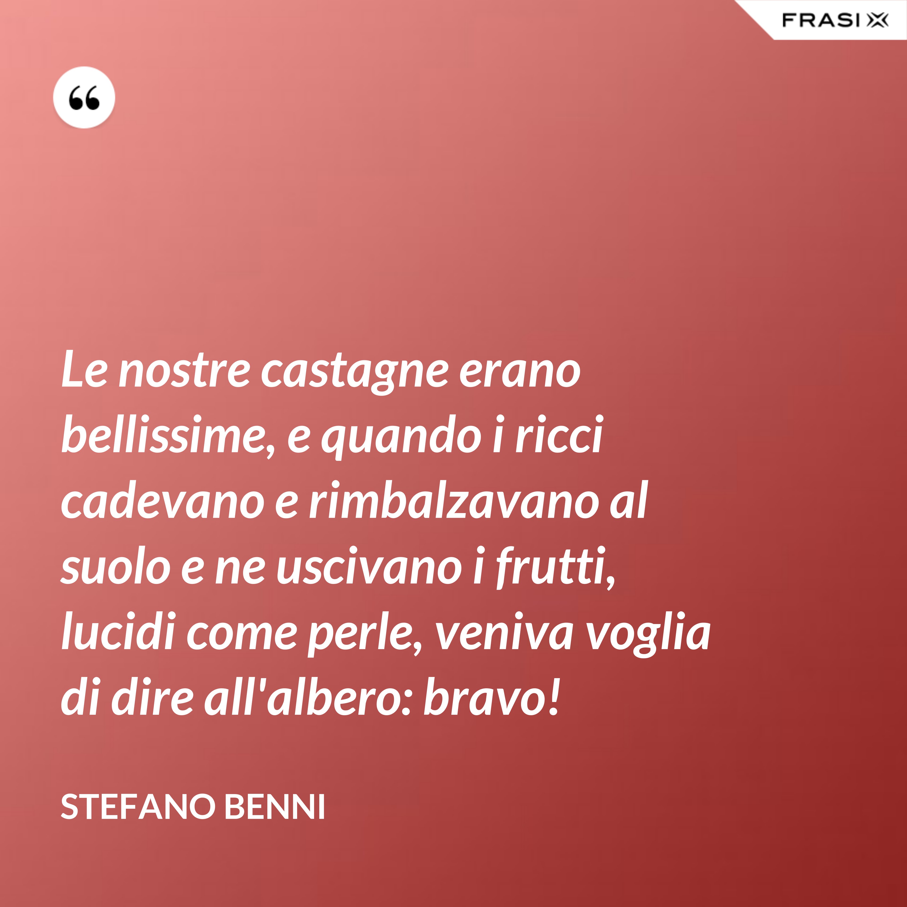 Le nostre castagne erano bellissime, e quando i ricci cadevano e rimbalzavano al suolo e ne uscivano i frutti, lucidi come perle, veniva voglia di dire all'albero: bravo! - Stefano Benni