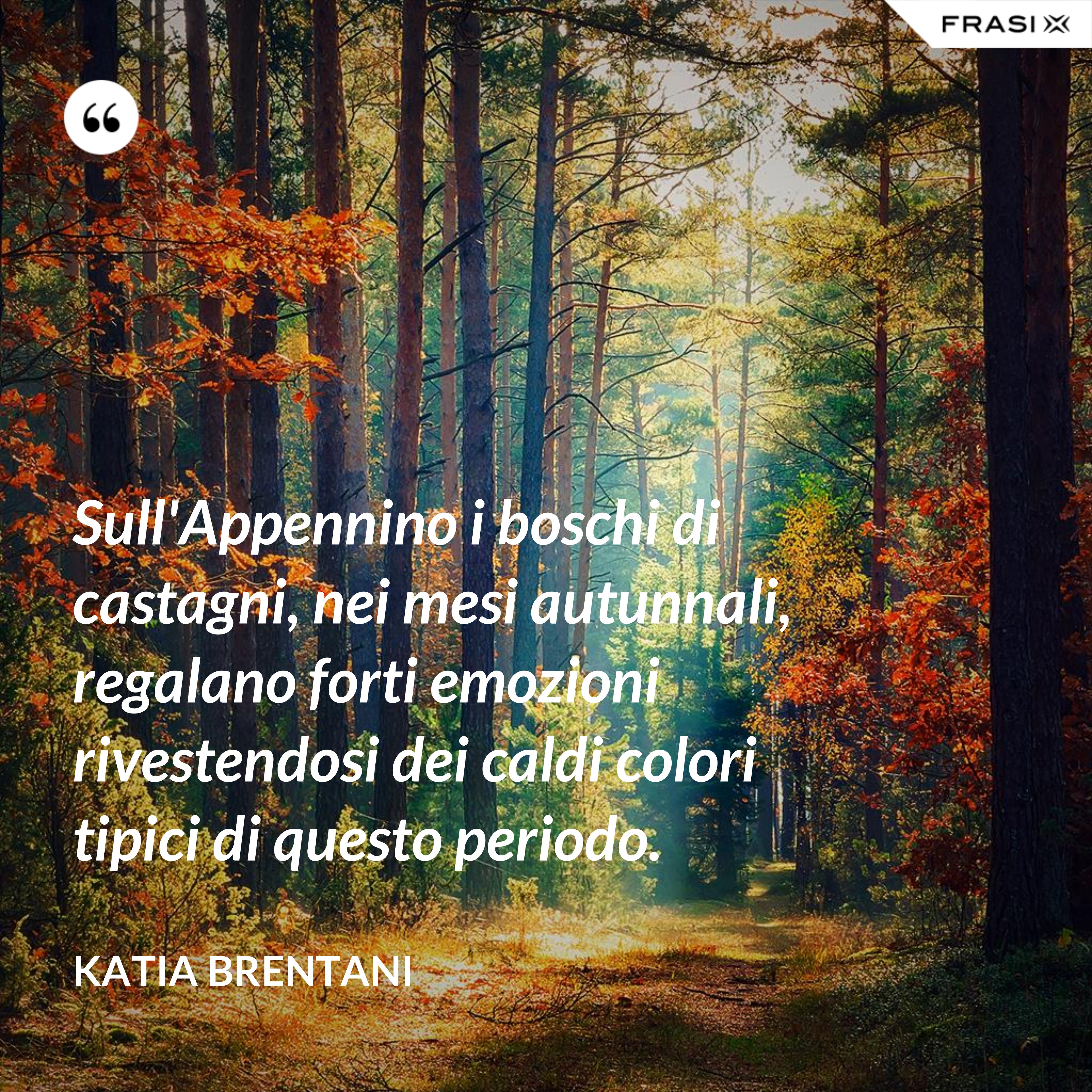 Sull'Appennino i boschi di castagni, nei mesi autunnali, regalano forti emozioni rivestendosi dei caldi colori tipici di questo periodo. - Katia Brentani