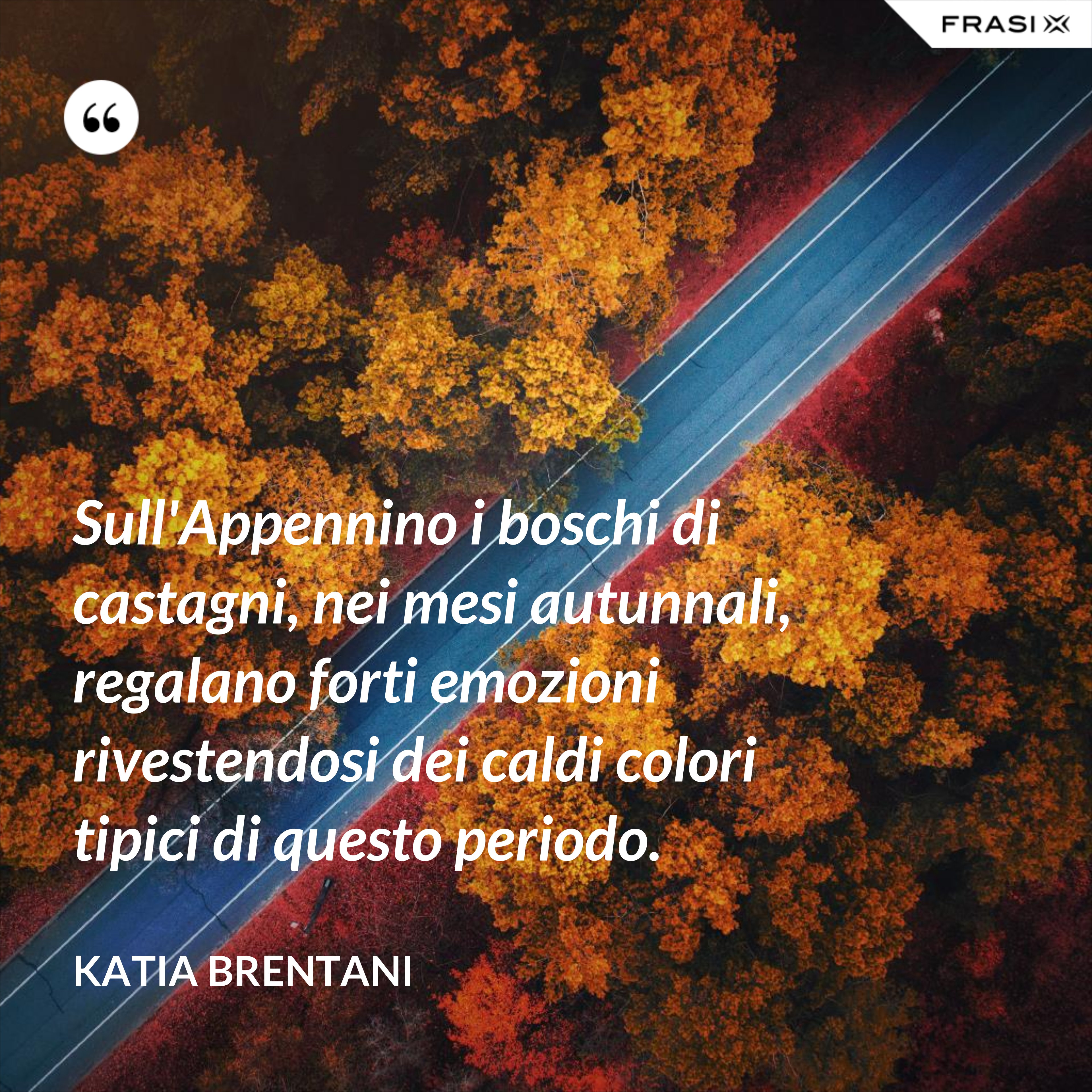 Sull'Appennino i boschi di castagni, nei mesi autunnali, regalano forti emozioni rivestendosi dei caldi colori tipici di questo periodo. - Katia Brentani