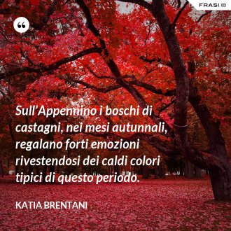 Sull'Appennino i boschi di castagni, nei mesi autunnali, regalano forti emozioni rivestendosi dei caldi colori tipici di questo periodo. - Katia Brentani