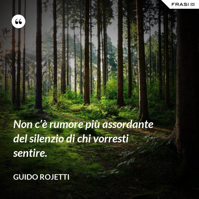 Non c’è rumore più assordante del silenzio di chi vorresti sentire. - Guido Rojetti