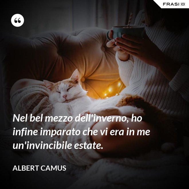 Nel bel mezzo dell'inverno, ho infine imparato che vi era in me un'invincibile estate. - Albert Camus