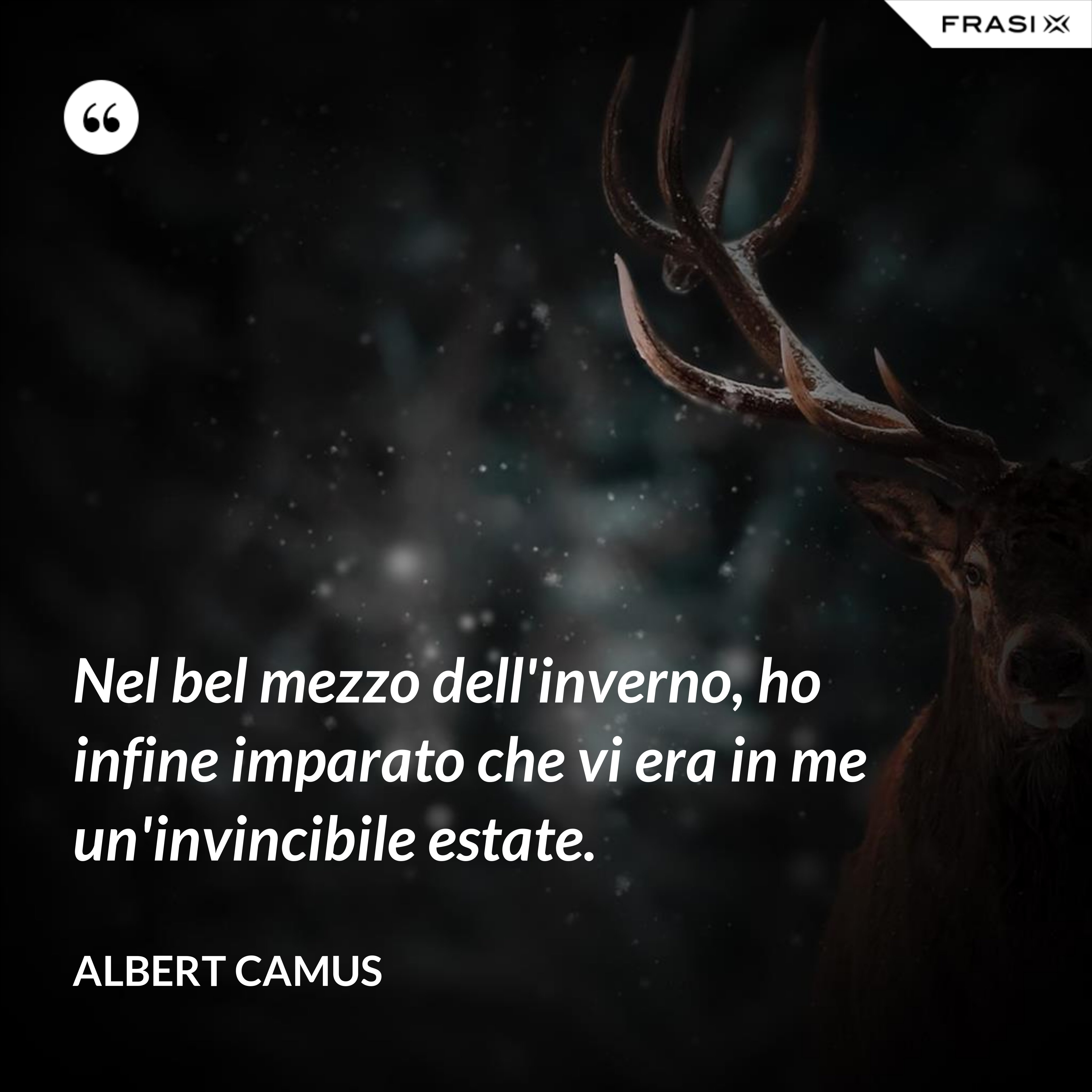 Nel bel mezzo dell'inverno, ho infine imparato che vi era in me un'invincibile estate. - Albert Camus