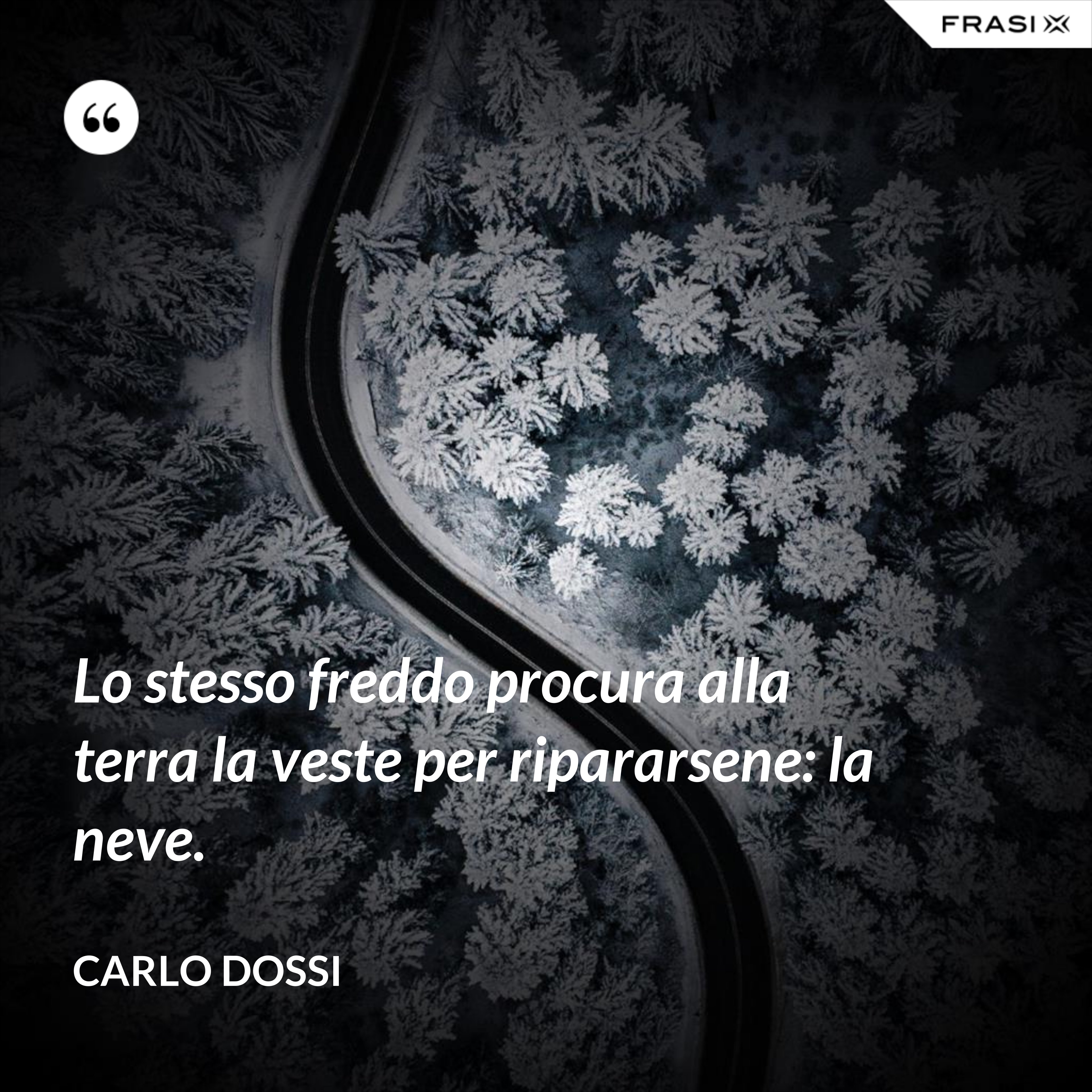 Lo stesso freddo procura alla terra la veste per ripararsene: la neve. - Carlo Dossi