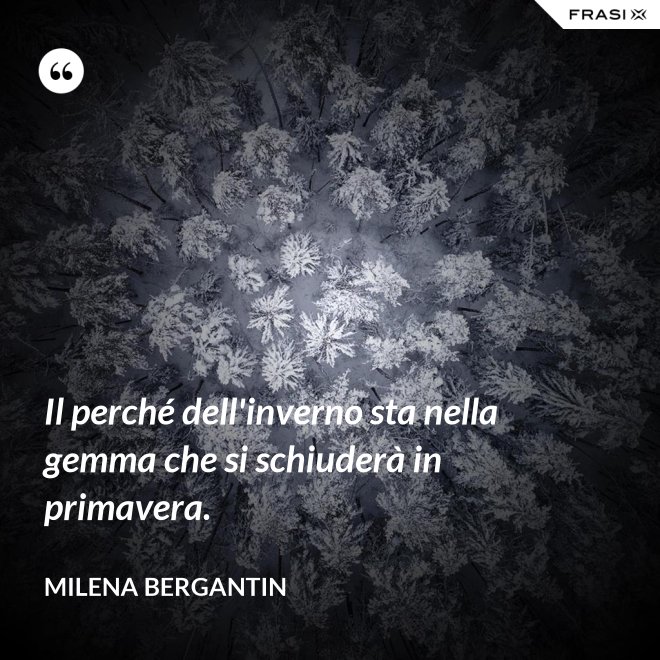 Il perché dell'inverno sta nella gemma che si schiuderà in primavera. - Milena Bergantin