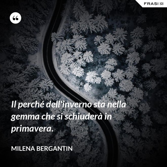 Il perché dell'inverno sta nella gemma che si schiuderà in primavera. - Milena Bergantin