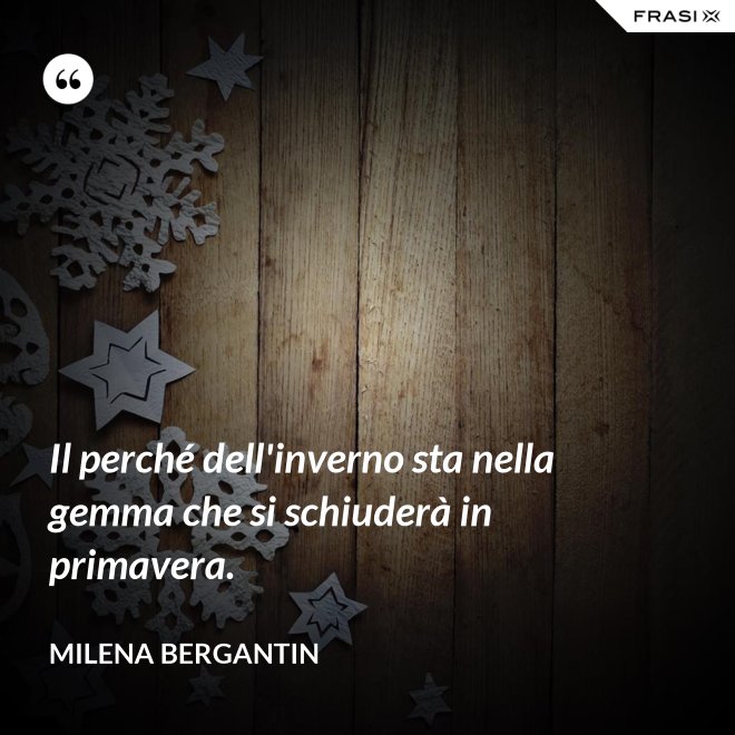 Il perché dell'inverno sta nella gemma che si schiuderà in primavera. - Milena Bergantin