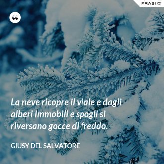 La neve ricopre il viale e dagli alberi immobili e spogli si riversano gocce di freddo. - Giusy Del Salvatore