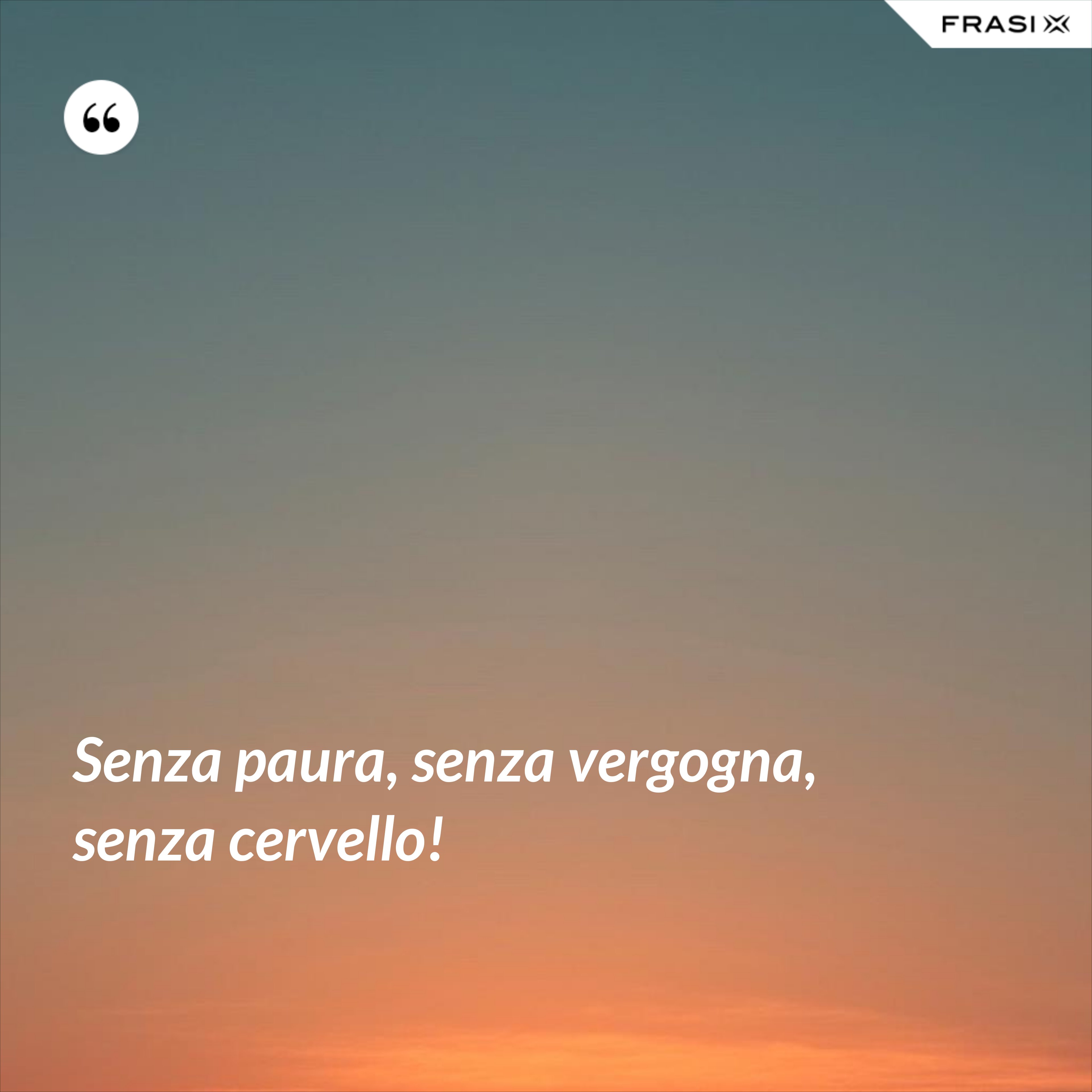 Senza paura, senza vergogna, senza cervello! - Anonimo