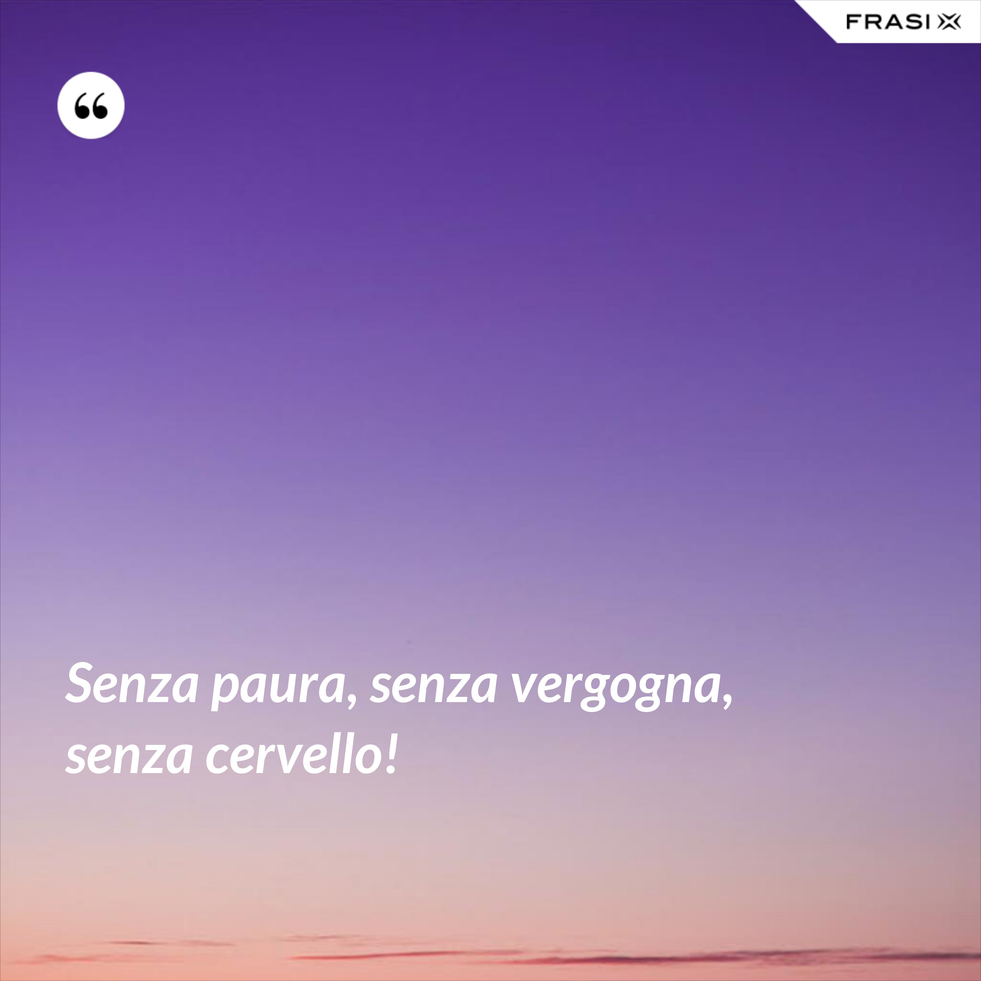 Senza paura, senza vergogna, senza cervello! - Anonimo