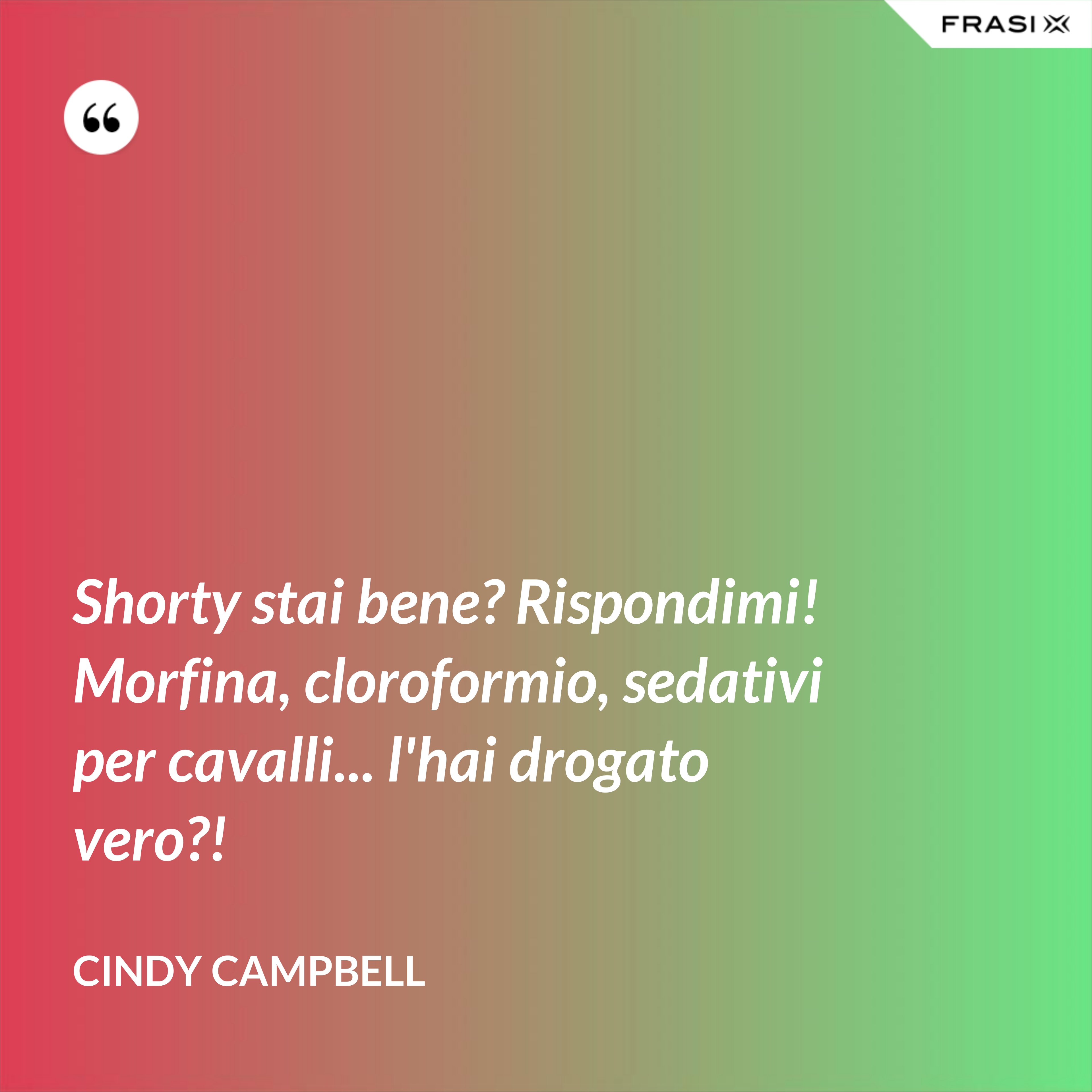 Shorty stai bene? Rispondimi! Morfina, cloroformio, sedativi per cavalli... l'hai drogato vero?! - Cindy Campbell