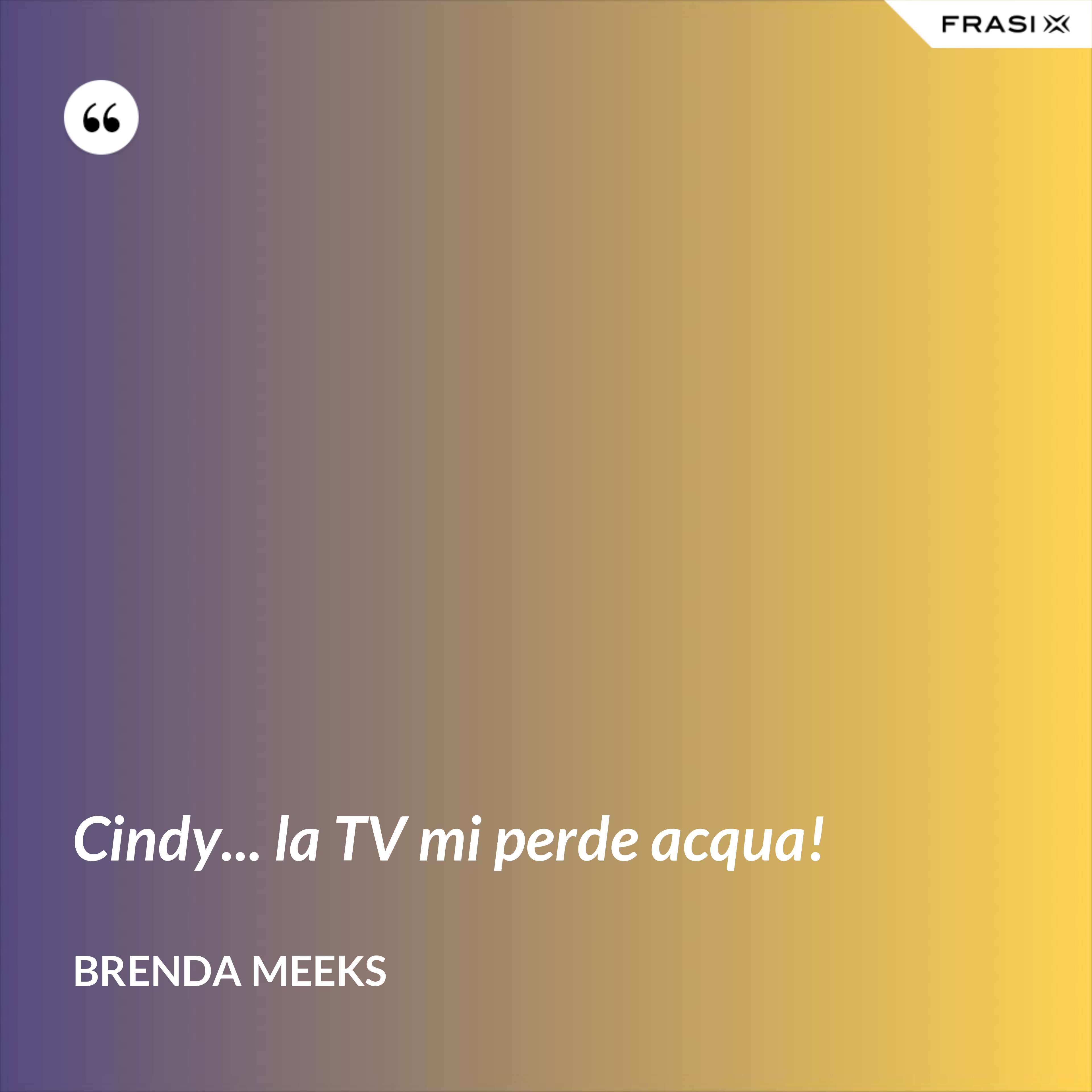 Cindy... la TV mi perde acqua! - Brenda Meeks