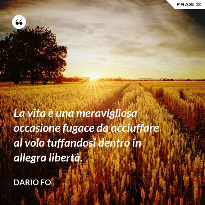 La vita è una meravigliosa occasione fugace da acciuffare al volo tuffandosi dentro in allegra libertà. - Dario Fo