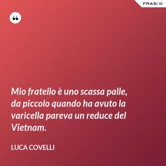 Mio fratello è uno scassa palle, da piccolo quando ha avuto la varicella pareva un reduce del Vietnam. - Luca Covelli