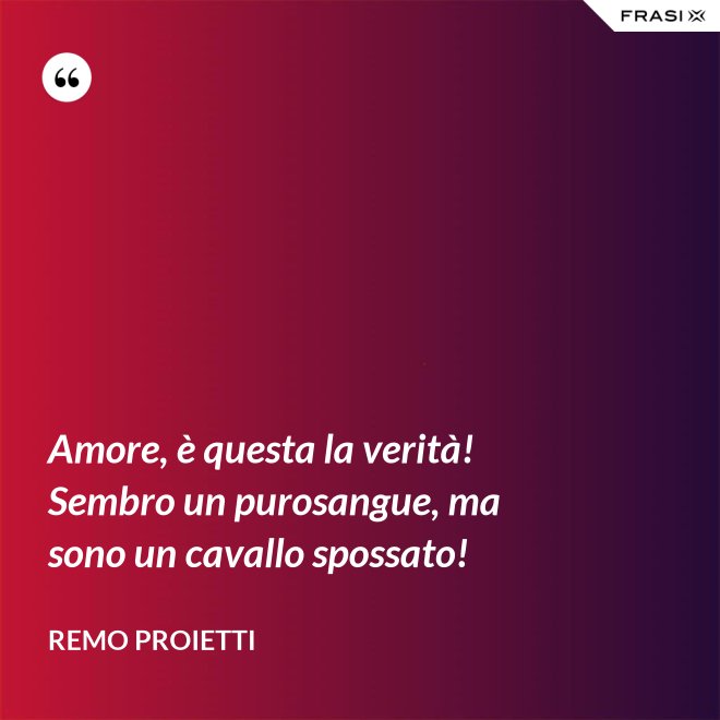 Amore, è questa la verità! Sembro un purosangue, ma sono un cavallo spossato! - Remo Proietti
