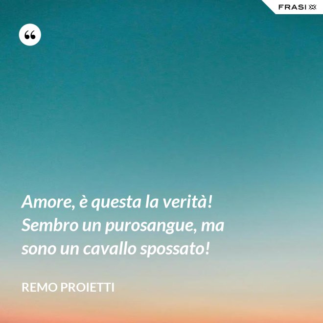 Amore, è questa la verità! Sembro un purosangue, ma sono un cavallo spossato! - Remo Proietti