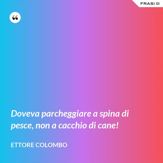 Doveva parcheggiare a spina di pesce, non a cacchio di cane! - Ettore Colombo