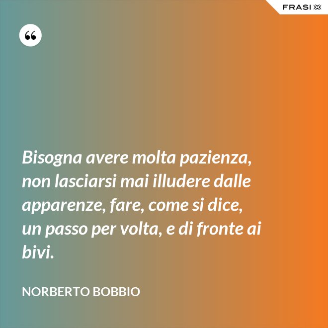Bisogna avere molta pazienza, non lasciarsi mai illudere dalle apparenze, fare, come si dice, un passo per volta, e di fronte ai bivi. - Norberto Bobbio