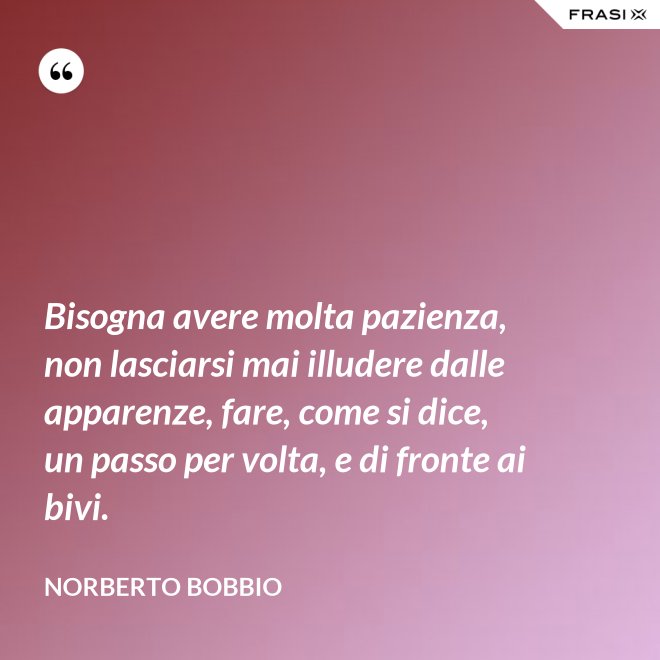 Bisogna avere molta pazienza, non lasciarsi mai illudere dalle apparenze, fare, come si dice, un passo per volta, e di fronte ai bivi. - Norberto Bobbio