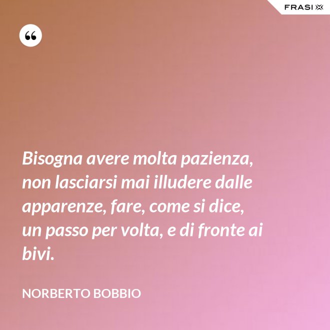 Bisogna avere molta pazienza, non lasciarsi mai illudere dalle apparenze, fare, come si dice, un passo per volta, e di fronte ai bivi. - Norberto Bobbio