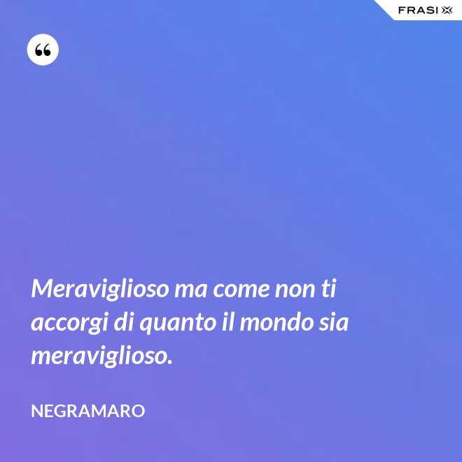 Meraviglioso ma come non ti accorgi di quanto il mondo sia meraviglioso. - Negramaro