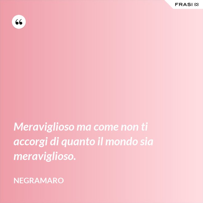 Meraviglioso ma come non ti accorgi di quanto il mondo sia meraviglioso. - Negramaro