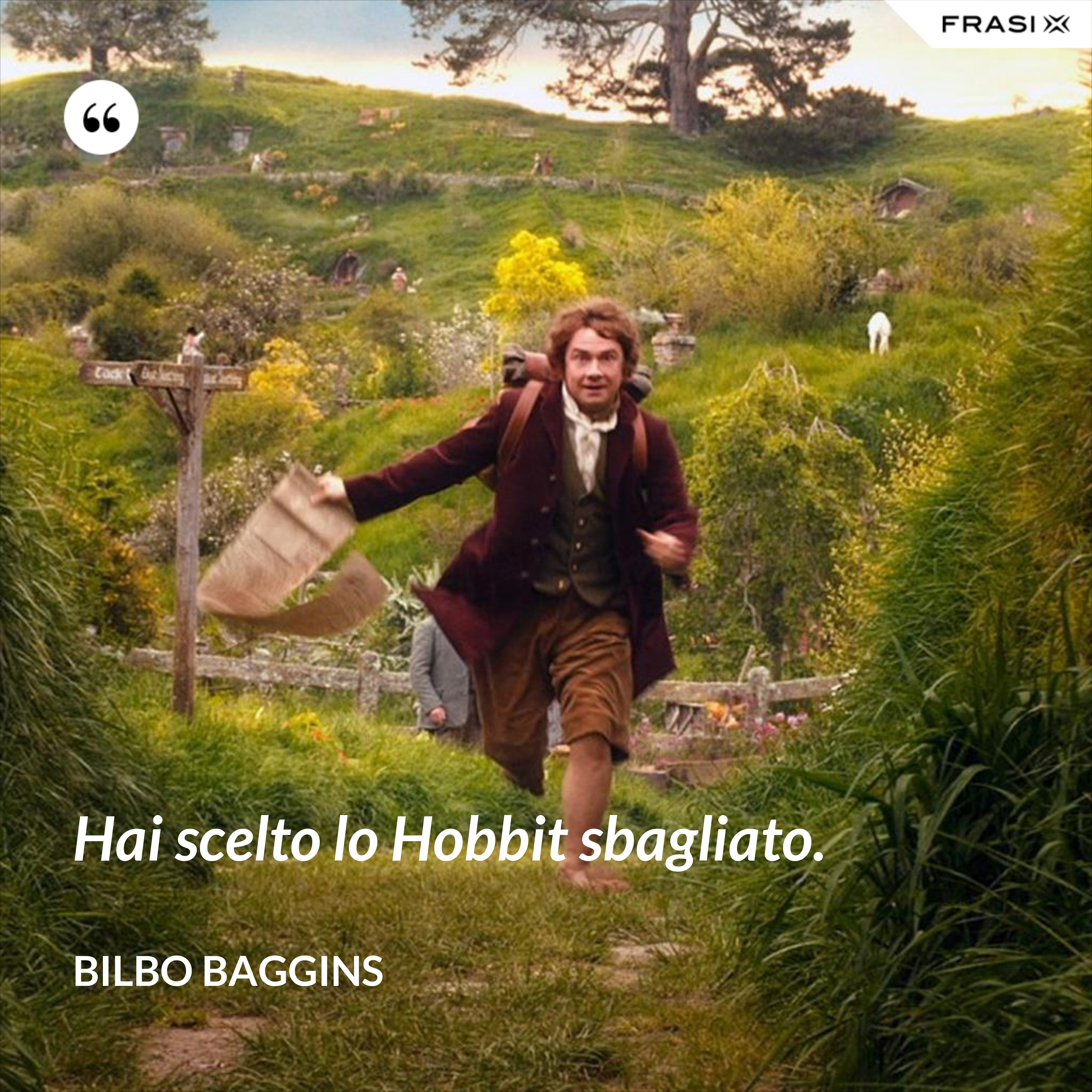 Hai scelto lo Hobbit sbagliato. - Bilbo Baggins