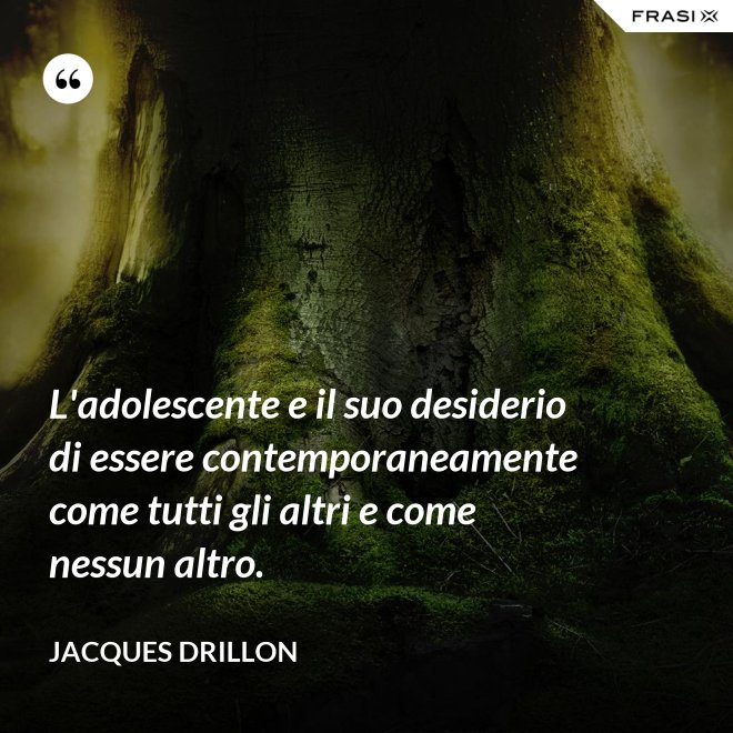 L'adolescente e il suo desiderio di essere contemporaneamente come tutti gli altri e come nessun altro. - Jacques Drillon