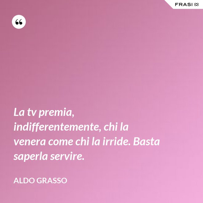 La tv premia, indifferentemente, chi la venera come chi la irride. Basta saperla servire. - Aldo Grasso