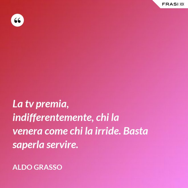 La tv premia, indifferentemente, chi la venera come chi la irride. Basta saperla servire. - Aldo Grasso