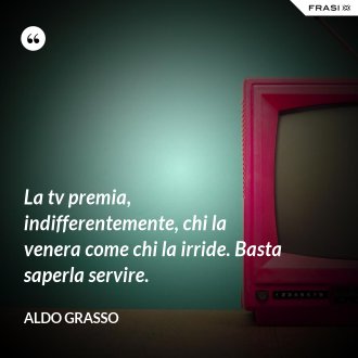 La tv premia, indifferentemente, chi la venera come chi la irride. Basta saperla servire. - Aldo Grasso