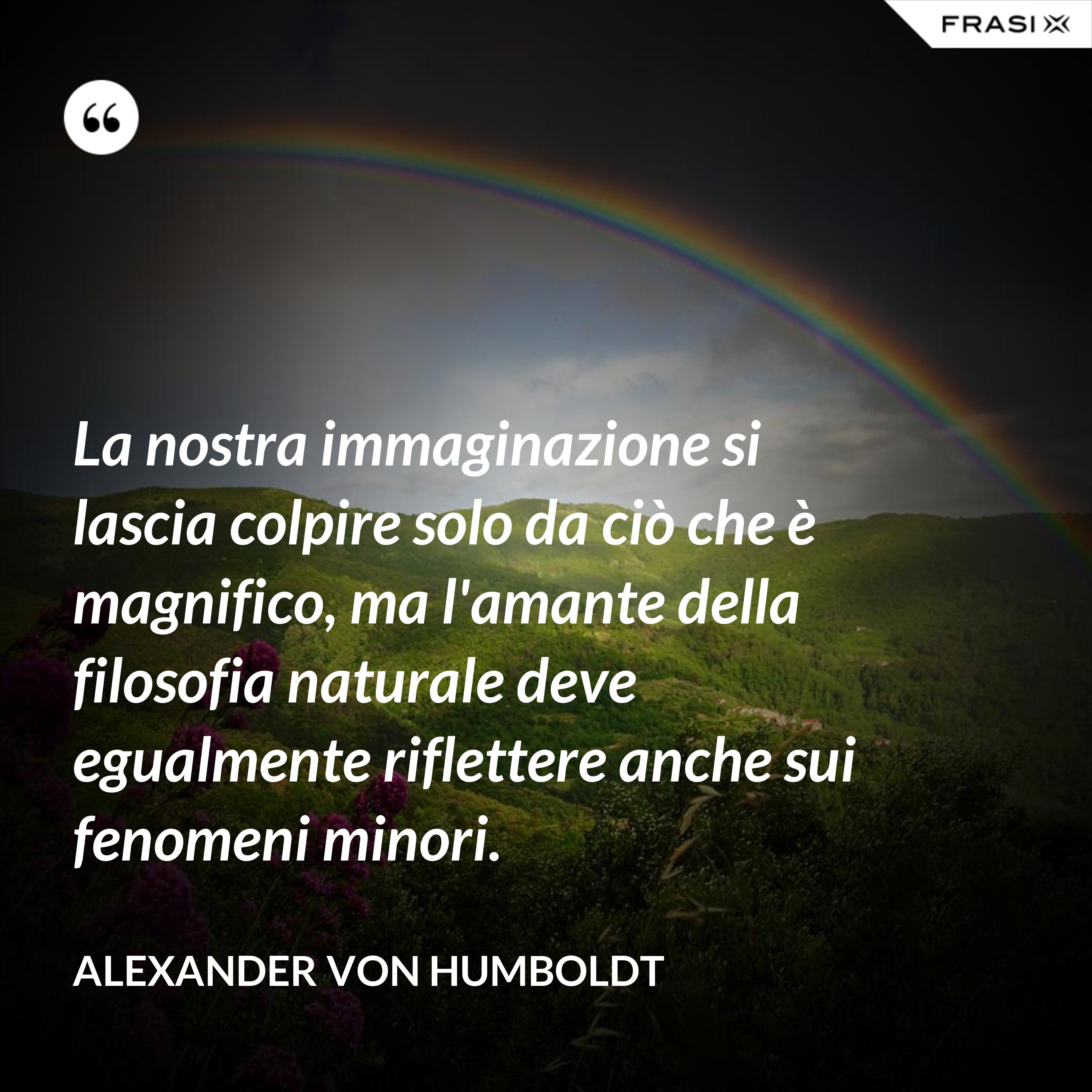 La nostra immaginazione si lascia colpire solo da ciò che è magnifico, ma l'amante della filosofia naturale deve egualmente riflettere anche sui fenomeni minori. - Alexander Von Humboldt