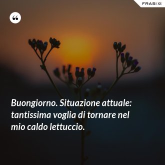 Buongiorno. Situazione attuale: tantissima voglia di tornare nel mio caldo lettuccio. - Anonimo