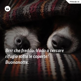 Brrr che freddo. Vado a cercare rifugio sotto le coperte! Buonanotte. - Anonimo