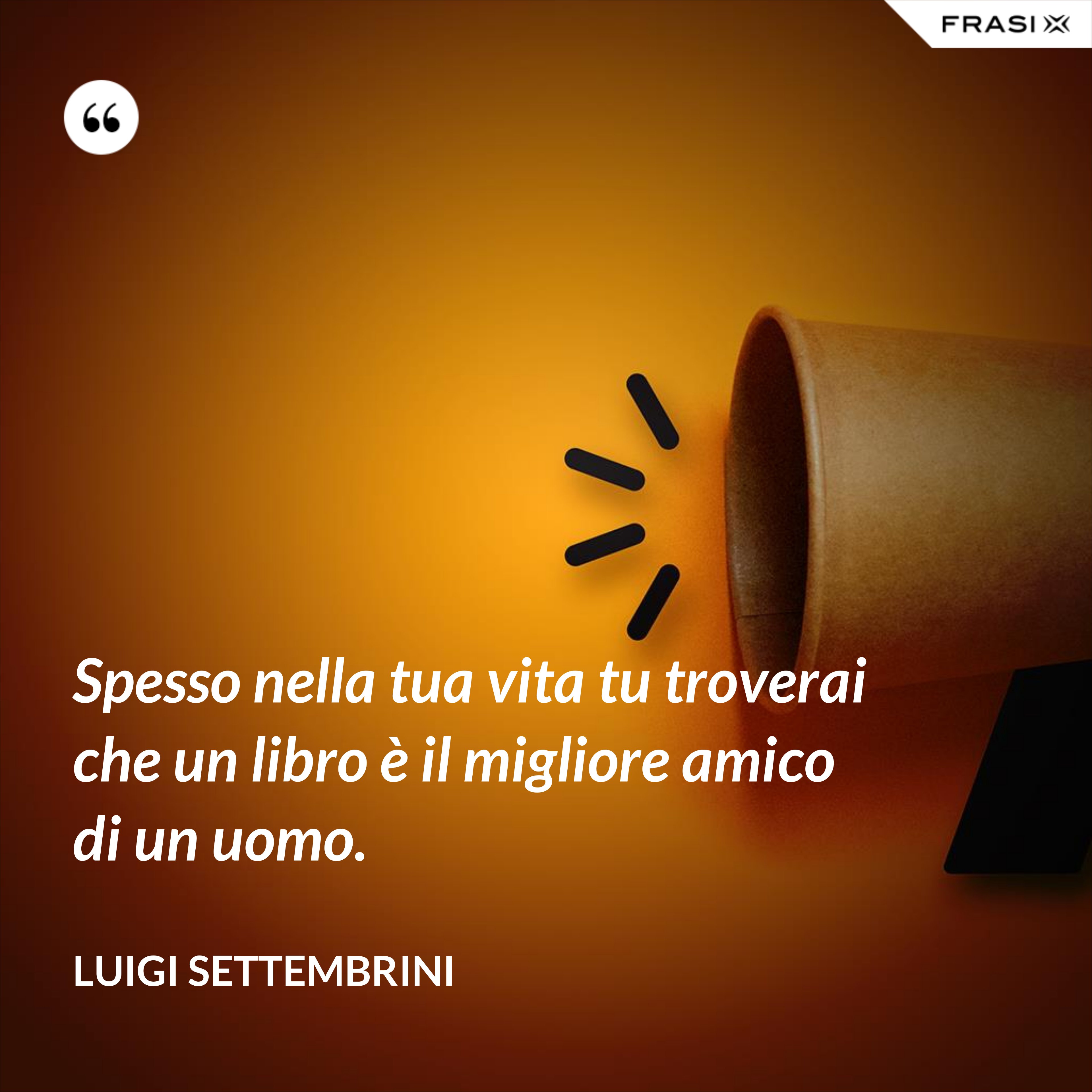Spesso nella tua vita tu troverai che un libro è il migliore amico di un uomo. - Luigi Settembrini
