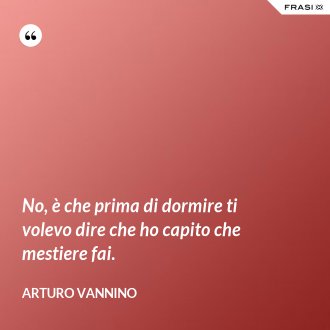 No, è che prima di dormire ti volevo dire che ho capito che mestiere fai. - Arturo Vannino