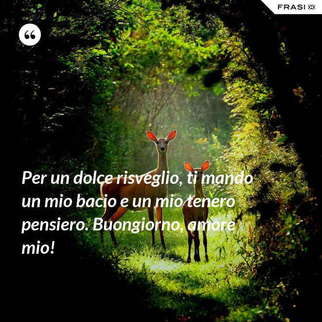 Per un dolce risveglio, ti mando un mio bacio e un mio tenero pensiero. Buongiorno, amore mio! - Anonimo