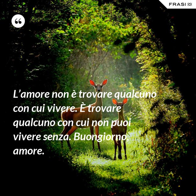 L’amore non è trovare qualcuno con cui vivere. È trovare qualcuno con cui non puoi vivere senza. Buongiorno, amore. - Anonimo