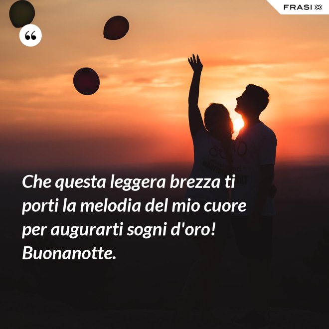 Che questa leggera brezza ti porti la melodia del mio cuore per augurarti sogni d'oro! Buonanotte. - Anonimo