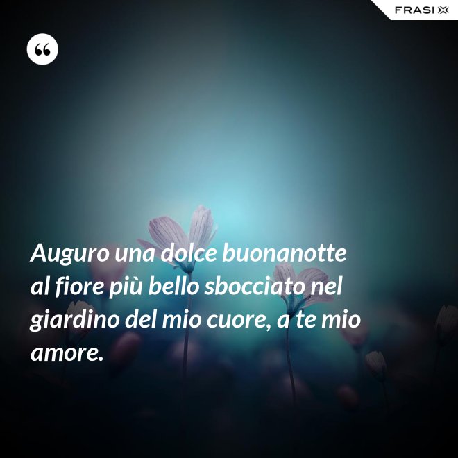 Auguro una dolce buonanotte al fiore più bello sbocciato nel giardino del mio cuore, a te mio amore. - Anonimo