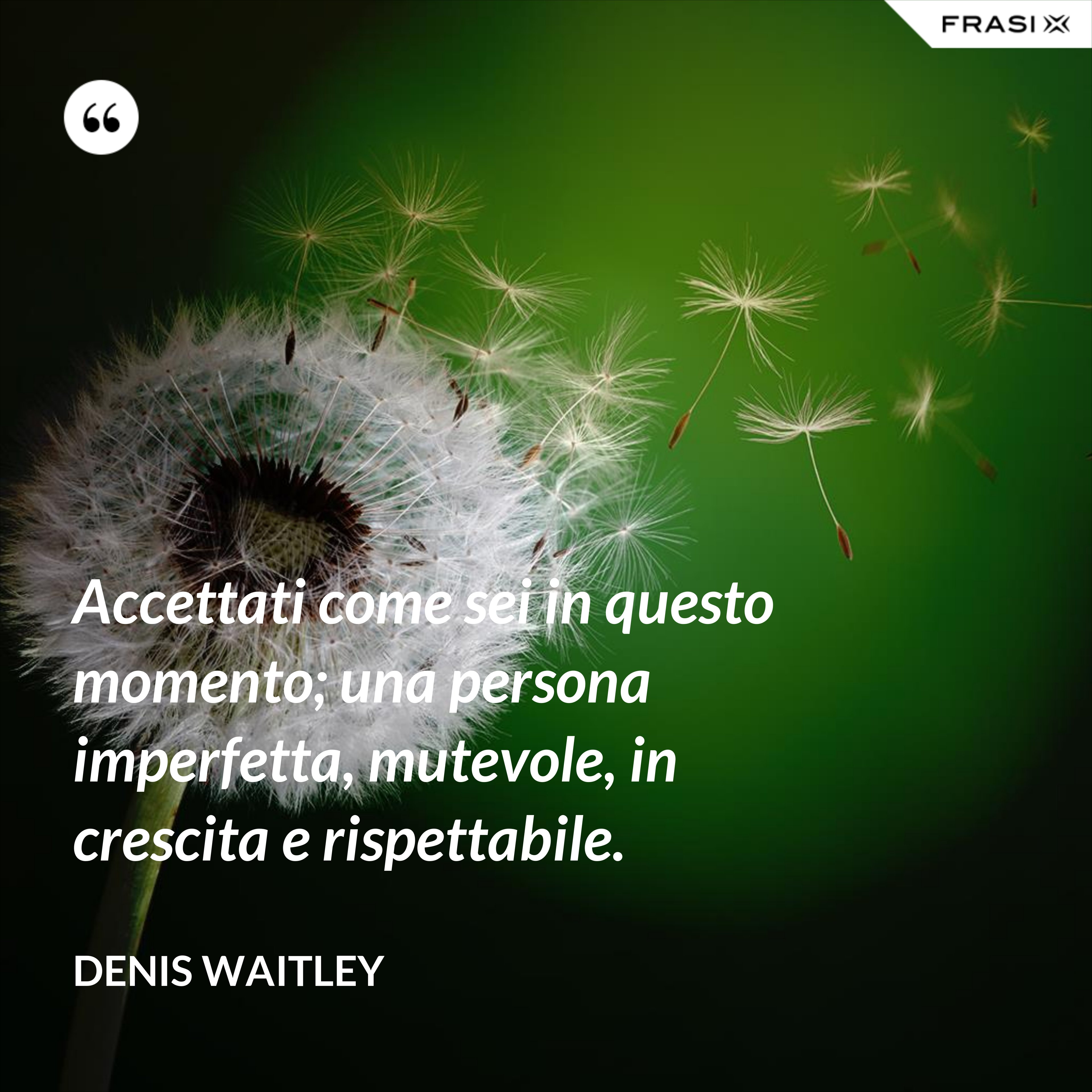 Accettati come sei in questo momento; una persona imperfetta, mutevole, in crescita e rispettabile. - Denis Waitley