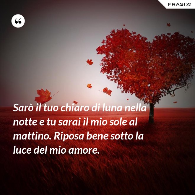 Sarò il tuo chiaro di luna nella notte e tu sarai il mio sole al mattino. Riposa bene sotto la luce del mio amore. - Anonimo