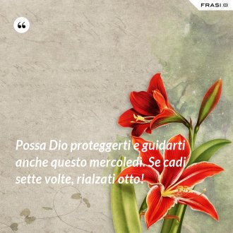 Possa Dio proteggerti e guidarti anche questo mercoledì. Se cadi sette volte, rialzati otto! - Anonimo