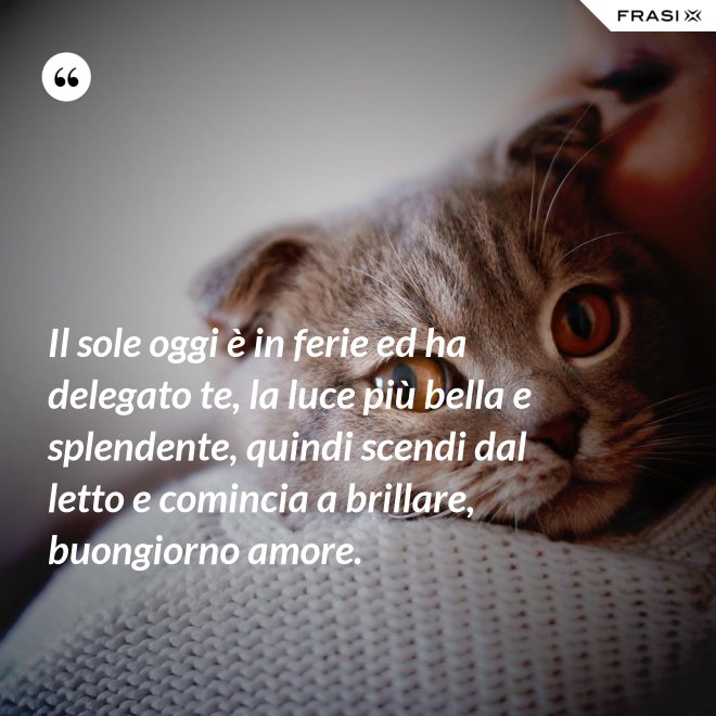 Il sole oggi è in ferie ed ha delegato te, la luce più bella e splendente, quindi scendi dal letto e comincia a brillare, buongiorno amore. - Anonimo