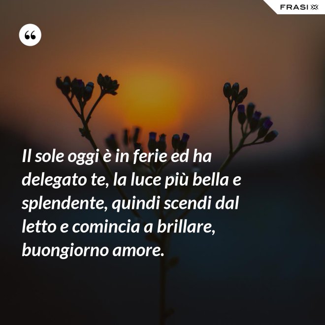 Il sole oggi è in ferie ed ha delegato te, la luce più bella e splendente, quindi scendi dal letto e comincia a brillare, buongiorno amore. - Anonimo